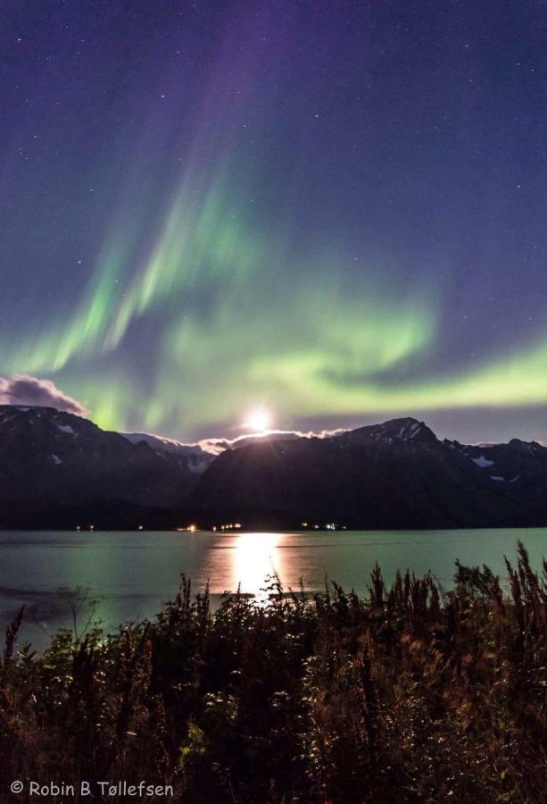 דירות Sjursnes Fjordferie מראה חיצוני תמונה